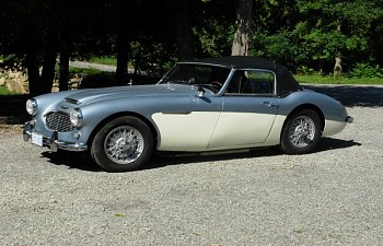 Austin Healy Two Tone